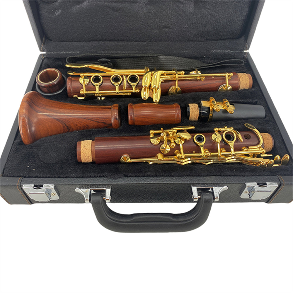 Bb Clarinet for Beginner 17 Key Gold-Plated Rosewood B Flat Clarinet with 2 Barrels,Hard Case,Cleaning Kit,Mouthpiece,Cork Grease,Gloves,Reeds,Cushion