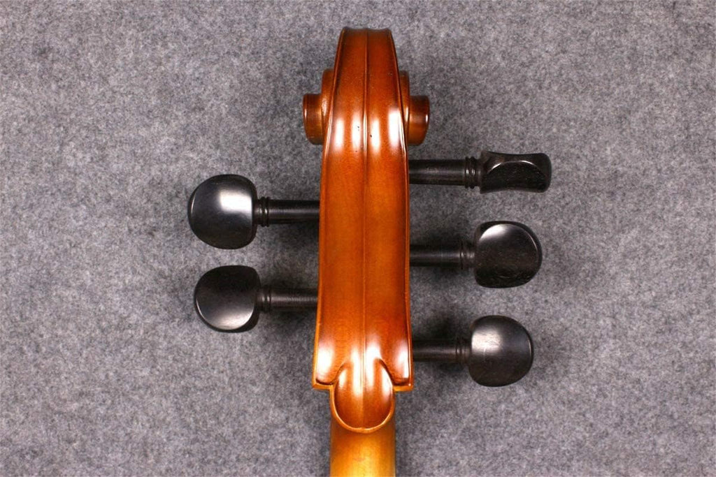 5String Cello 4/4 Solid Maple Spruce Wood Ebony Fittings Hand Made with Cello Bag Bow