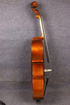 5String Cello 4/4 Solid Maple Spruce Wood Ebony Fittings Hand Made with Cello Bag Bow