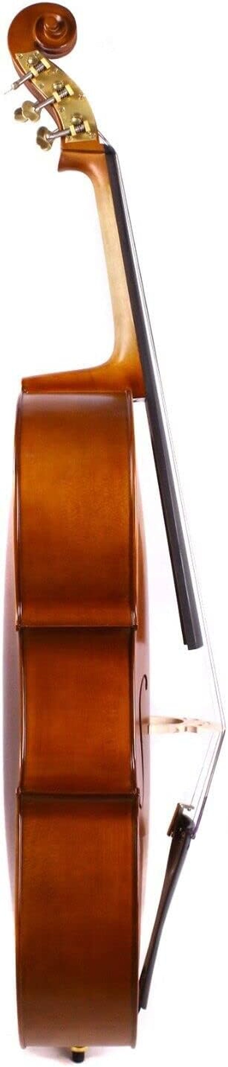 5 String Cello 4/4 Hand Made Cello Maple Spruce Ebony Cello Fittings Metal Cello Pegs with Cello Bag Bow