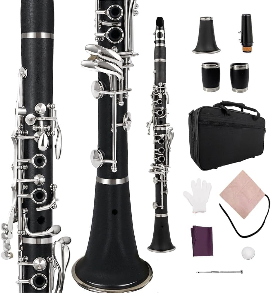 Professional Ebonite Clarinete C Key Clarinet for Beginner Students with 2 Barrels Hard Case Cleaning Kit Mouthpice Cork Grease Gloves